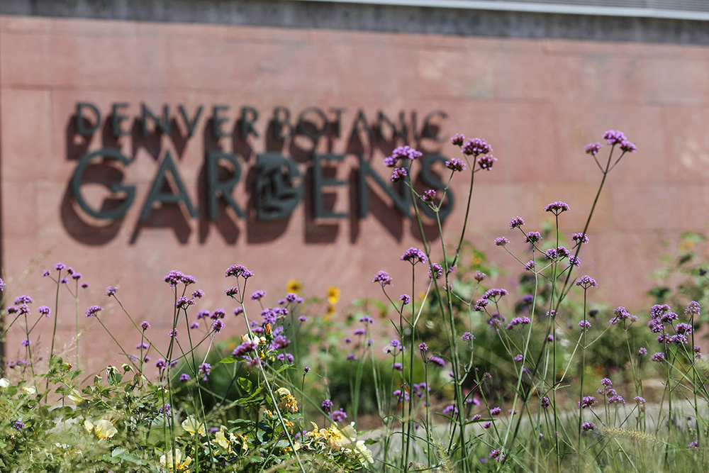 Nature meets neighborhood—escape to the peaceful Denver Botanic Gardens nearby.